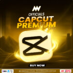 CapCut Pro Subscription
